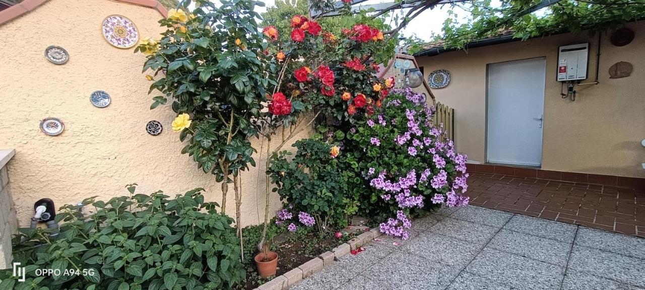 Casa In Giardino Apartment Пьомбино Екстериор снимка