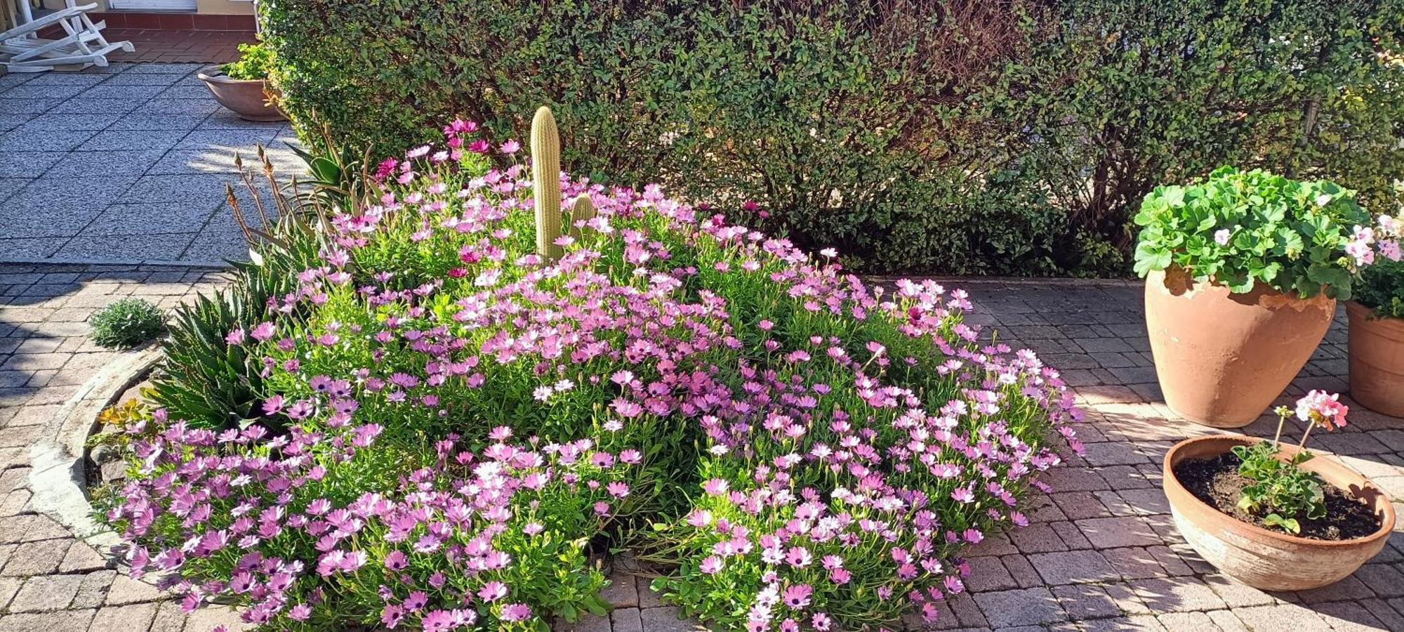 Casa In Giardino Apartment Пьомбино Екстериор снимка